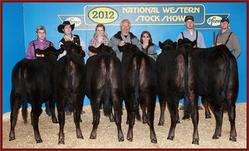 2012 National Western Stock Show National Grand Champion Best Six Head 2012