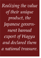 Realizing the value of their unique product, the Japanese government banned export of Wagyu and declared them a national treasure.