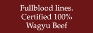 Fullblood lines, Certified 100% Wagyu Beef
